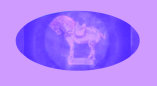 07240901_vintage_melmac_dinnerware_russel_wright001011.jpg