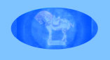 07240901_vintage_melmac_dinnerware_russel_wright001012.jpg