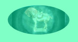 07240901_vintage_melmac_dinnerware_russel_wright001013.jpg